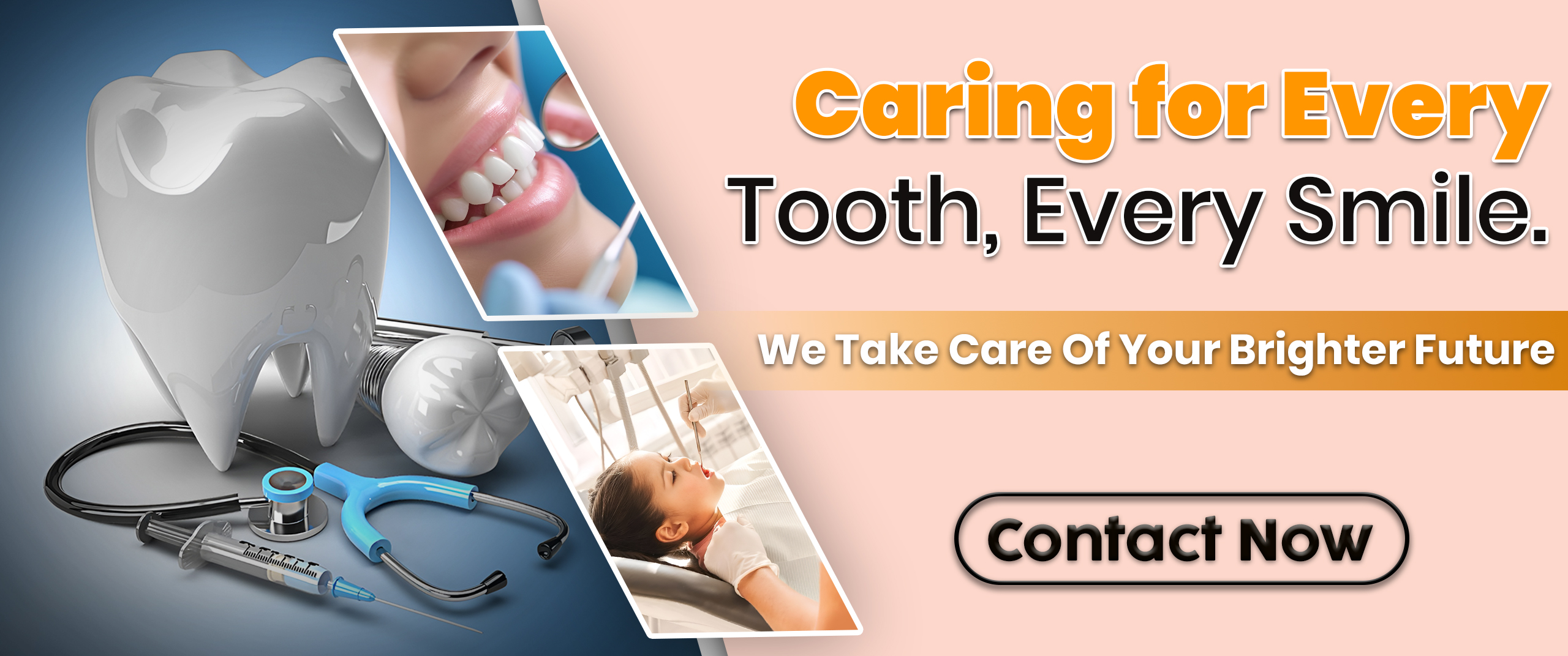 platinuam web banner JPG