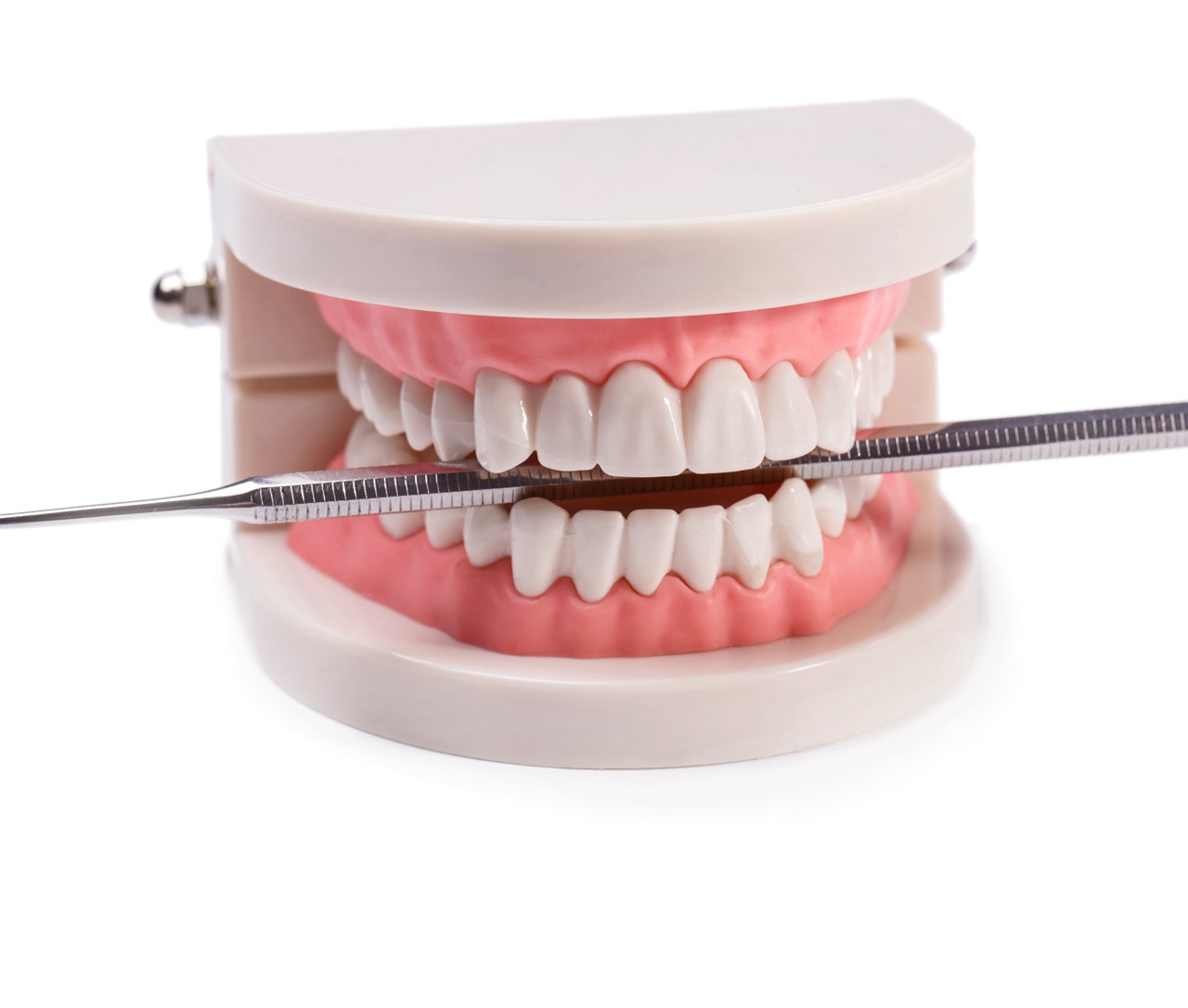 White teeth White teeth on the table